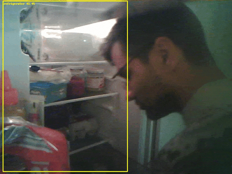 fridge fails captures