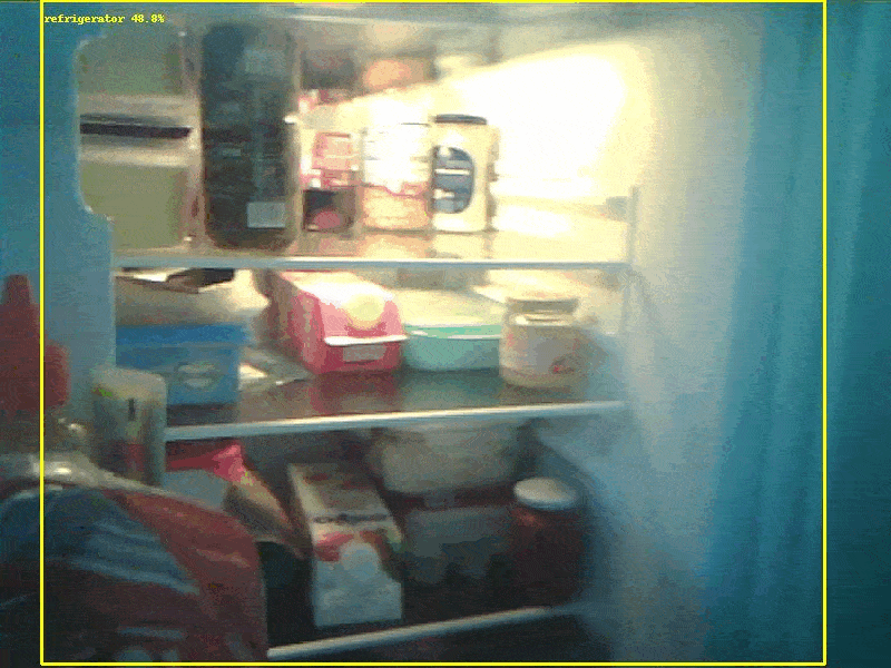fridge snapshots